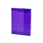 Plastový box Opaline fialový