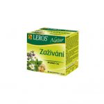 Čaj LEROS Natur Zažívanie 10x1,5g