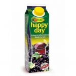 Džús HAPPY DAY 1l čierne ríbezle 25%