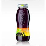 RAUCH 0,2L sklo čierna ríbezľa 25% / 24ks