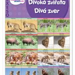 Pexeso - Divoké zvieratá